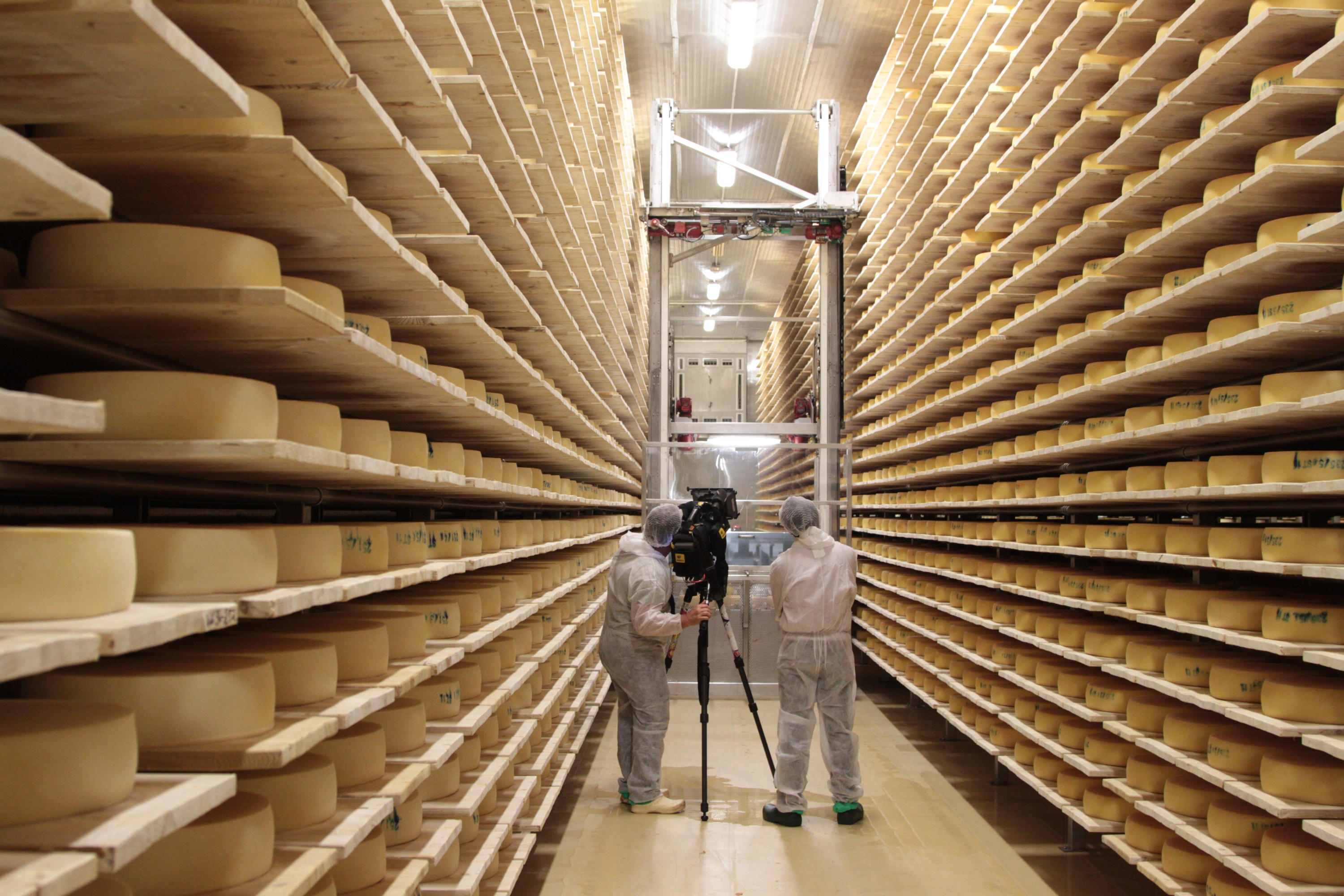 Cheese Maturation Room