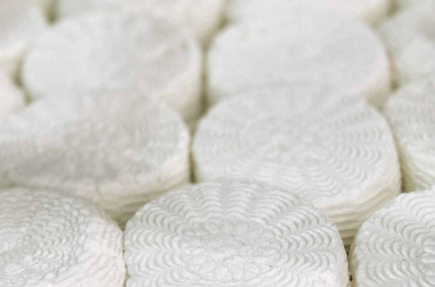 Aphrodite Halloumi Will Studd Cheesemaking