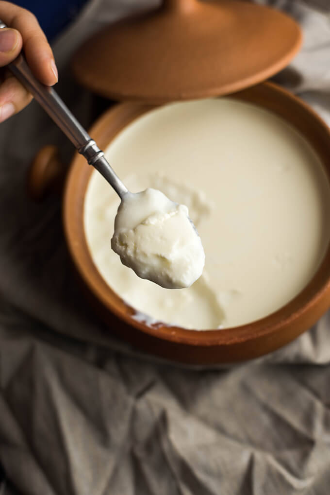 Homemade Yogurt will Studd