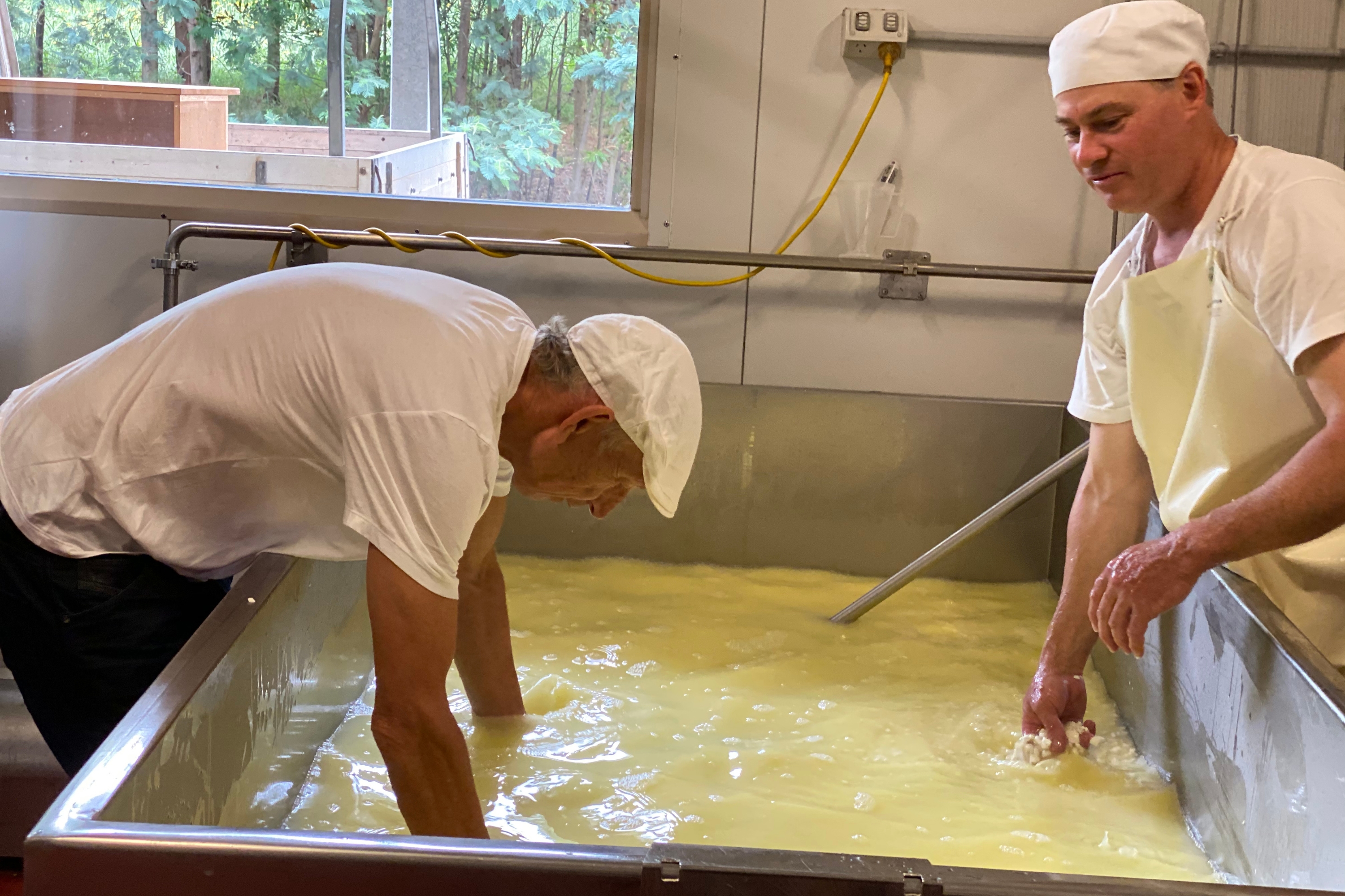 Will Studd Vat Hands In Prom Country Cheesemaking