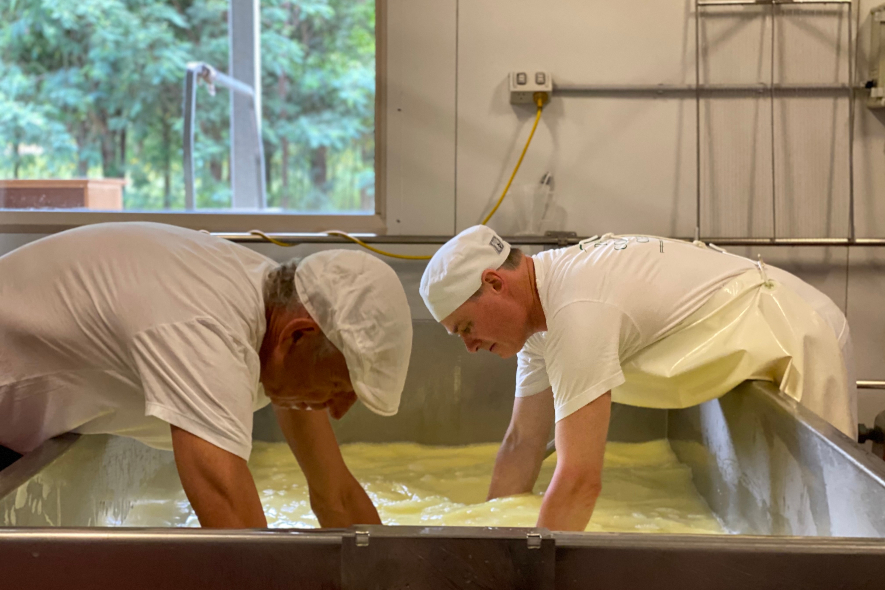 Will Studd In Cheese Vat With Brent Prom Country Cheesemaking