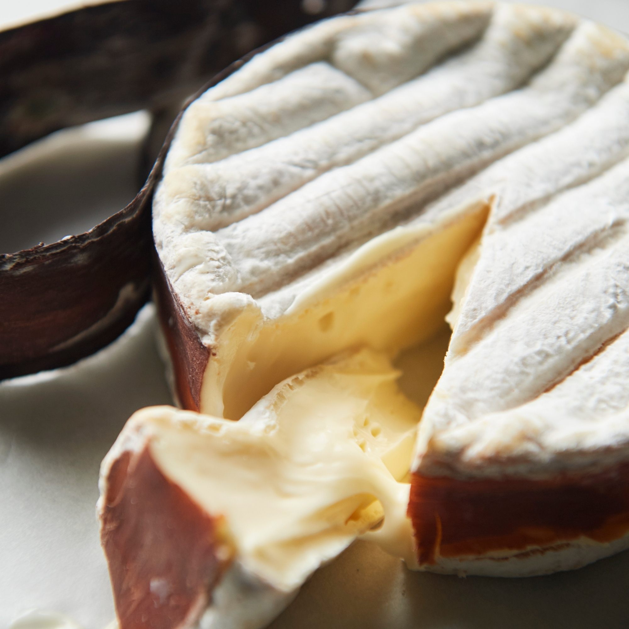 Le Duc Vacherin Spruce Bark Cheese Will Studd