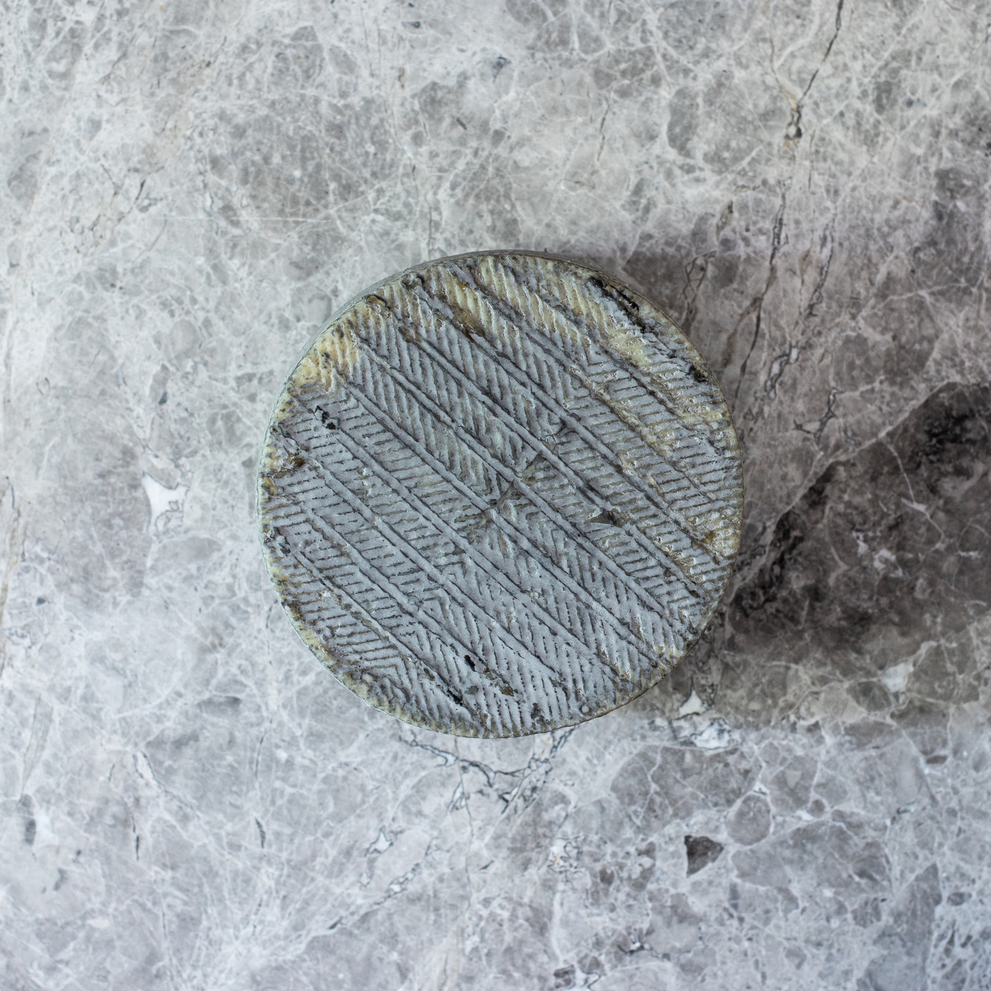 El Esparto Manchego on Grey Tile