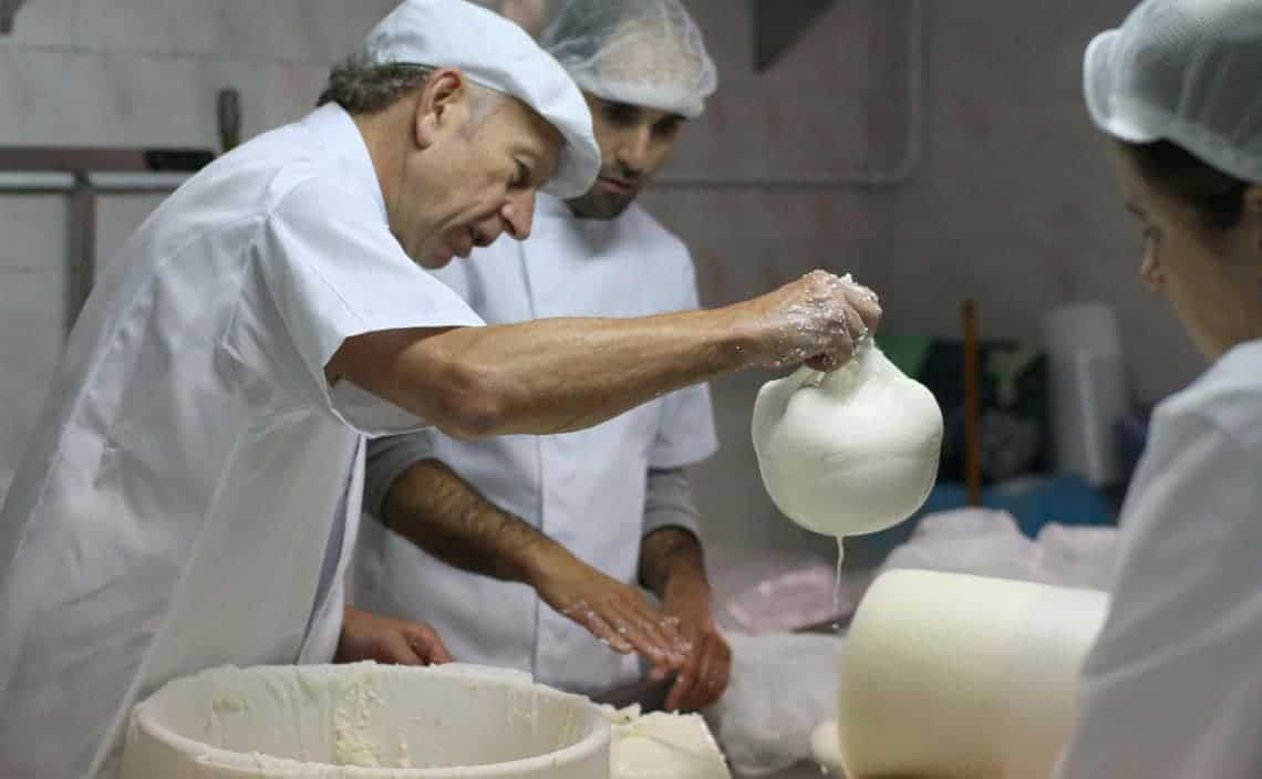 Will Studd holding cheese during manufacture
