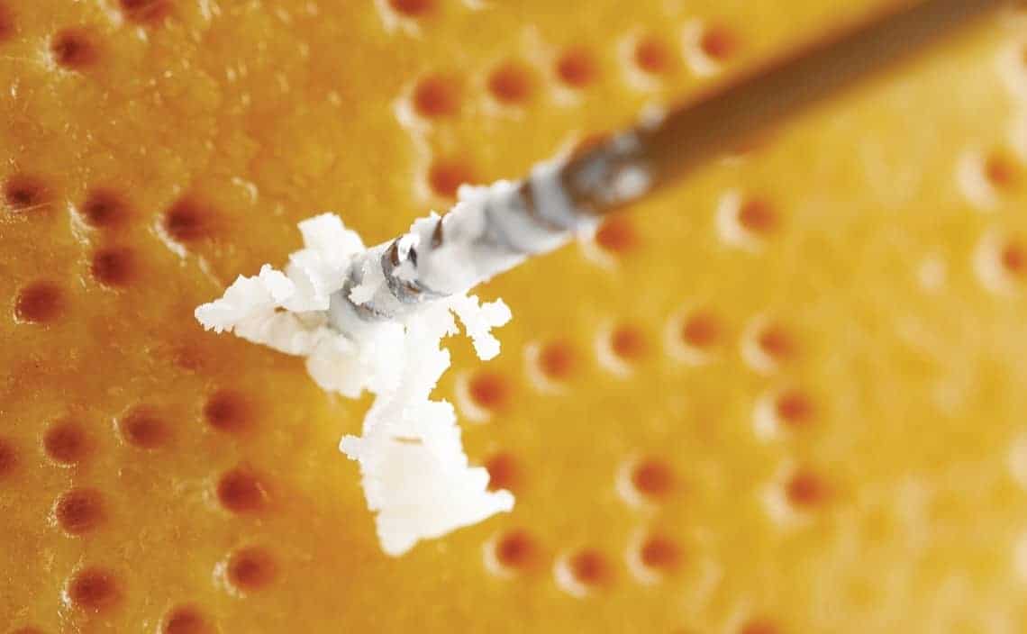 Parmigiano-Reggiano-Will-Studd