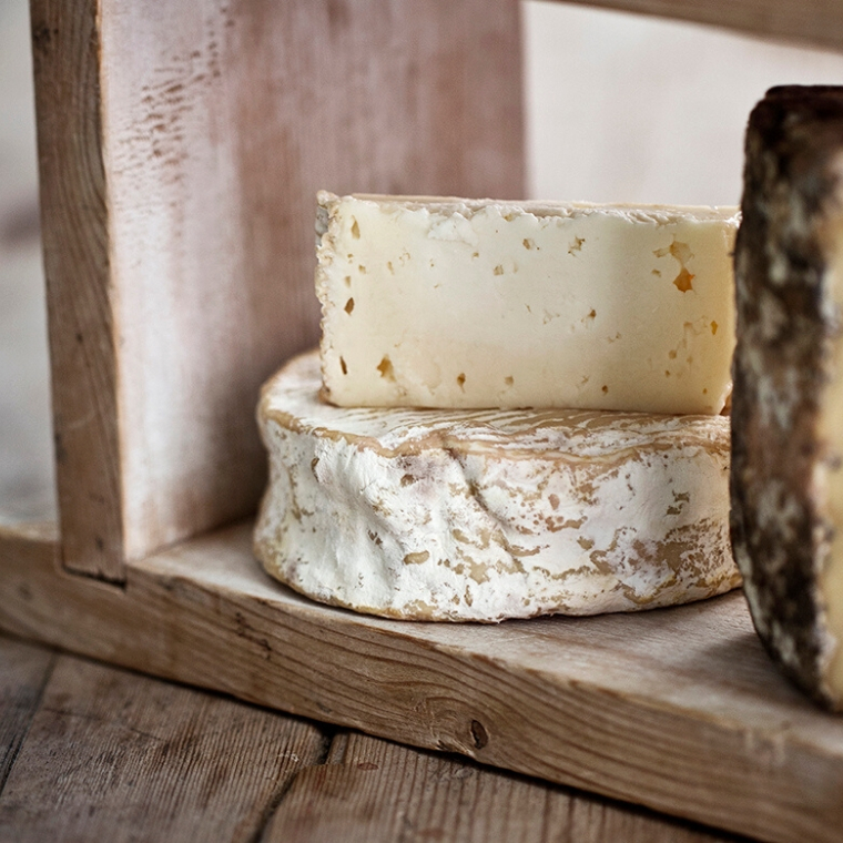 Will-Studd-Selected-Cheese-will-studd