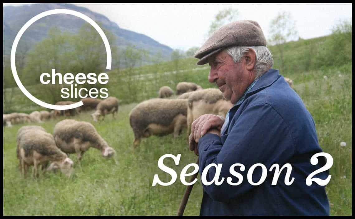 Sheep farmer with his milk producing stock in the mountainside