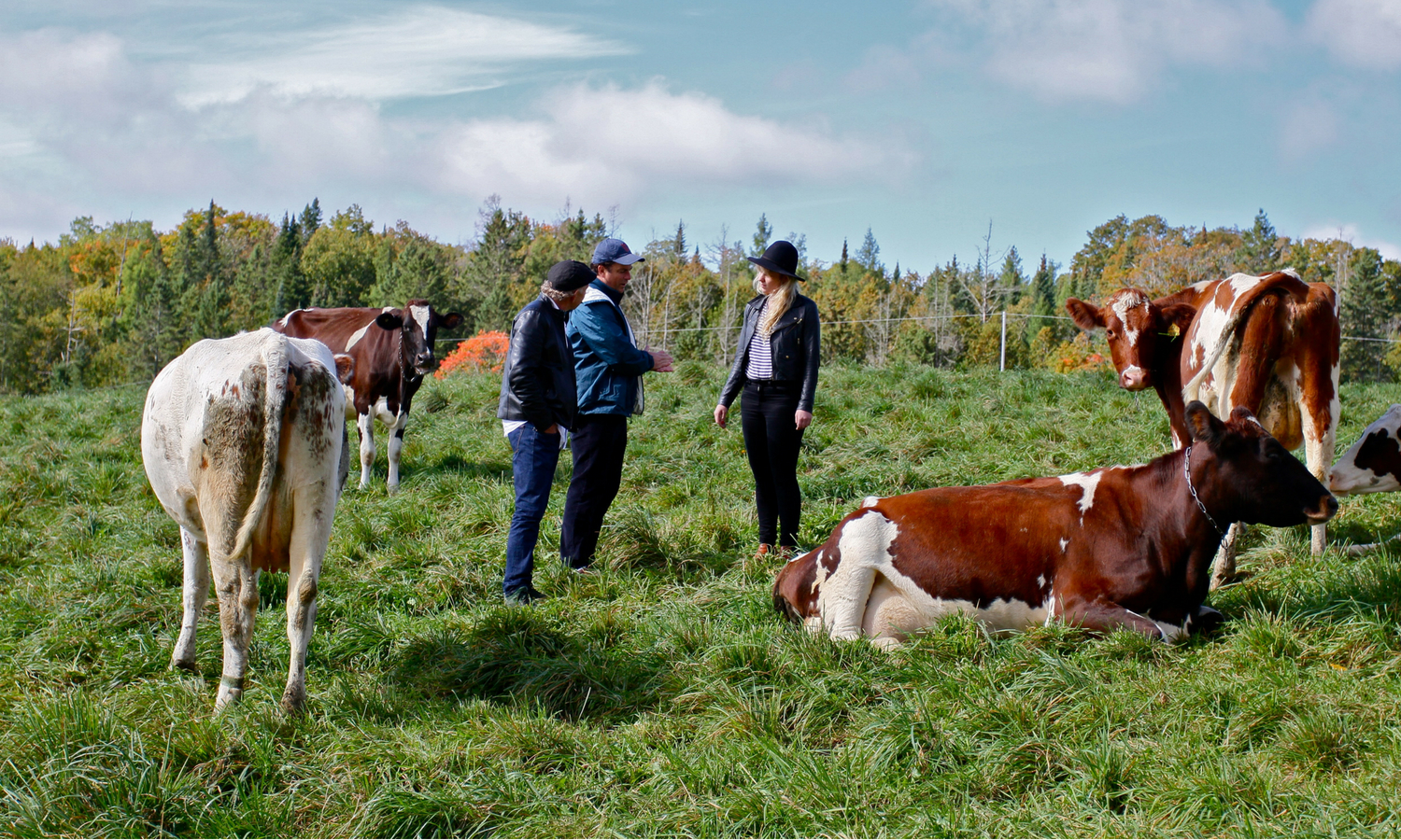 Jasper Hill Farm Will Studd