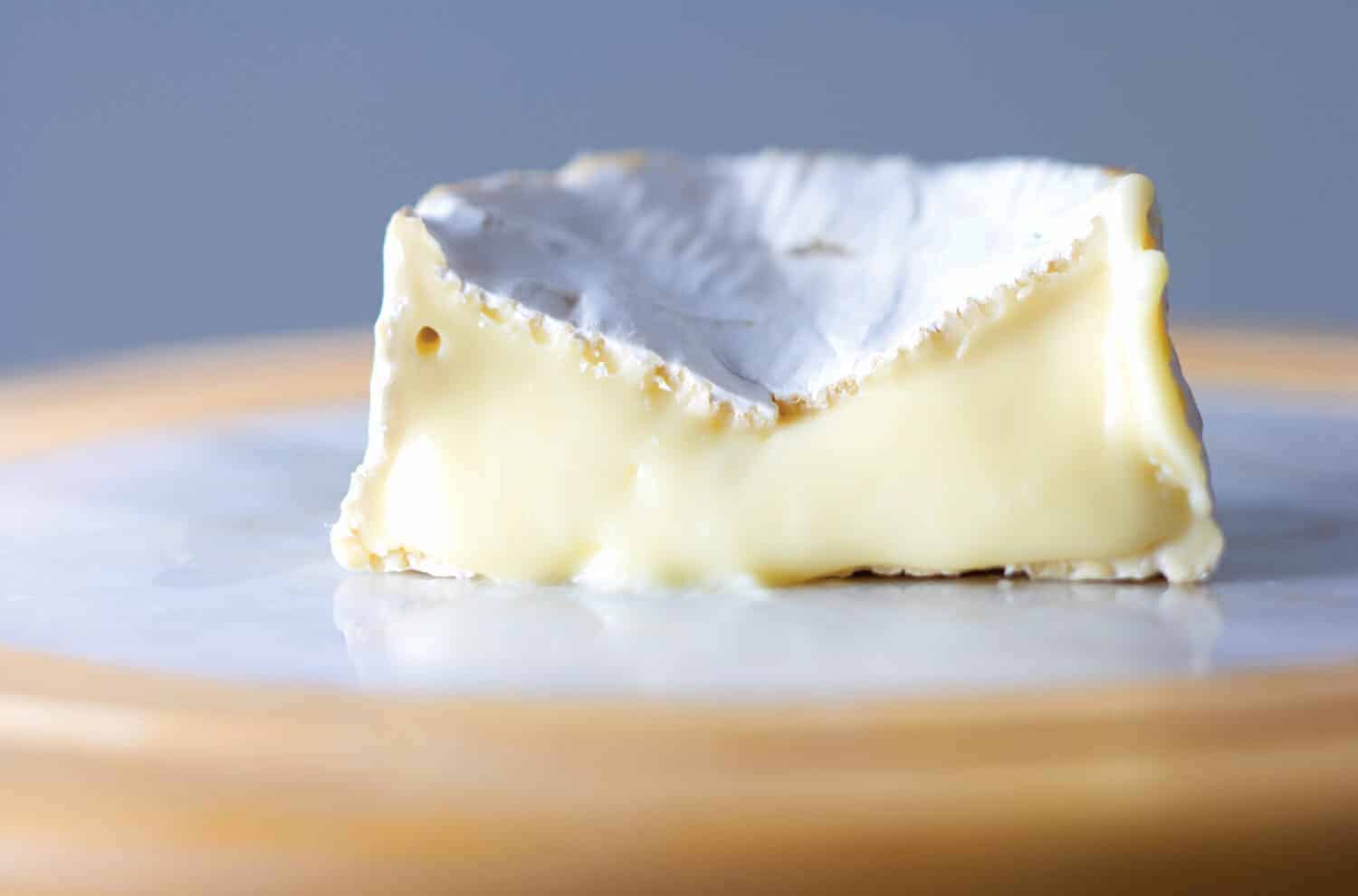 camembert cheese rind will studd