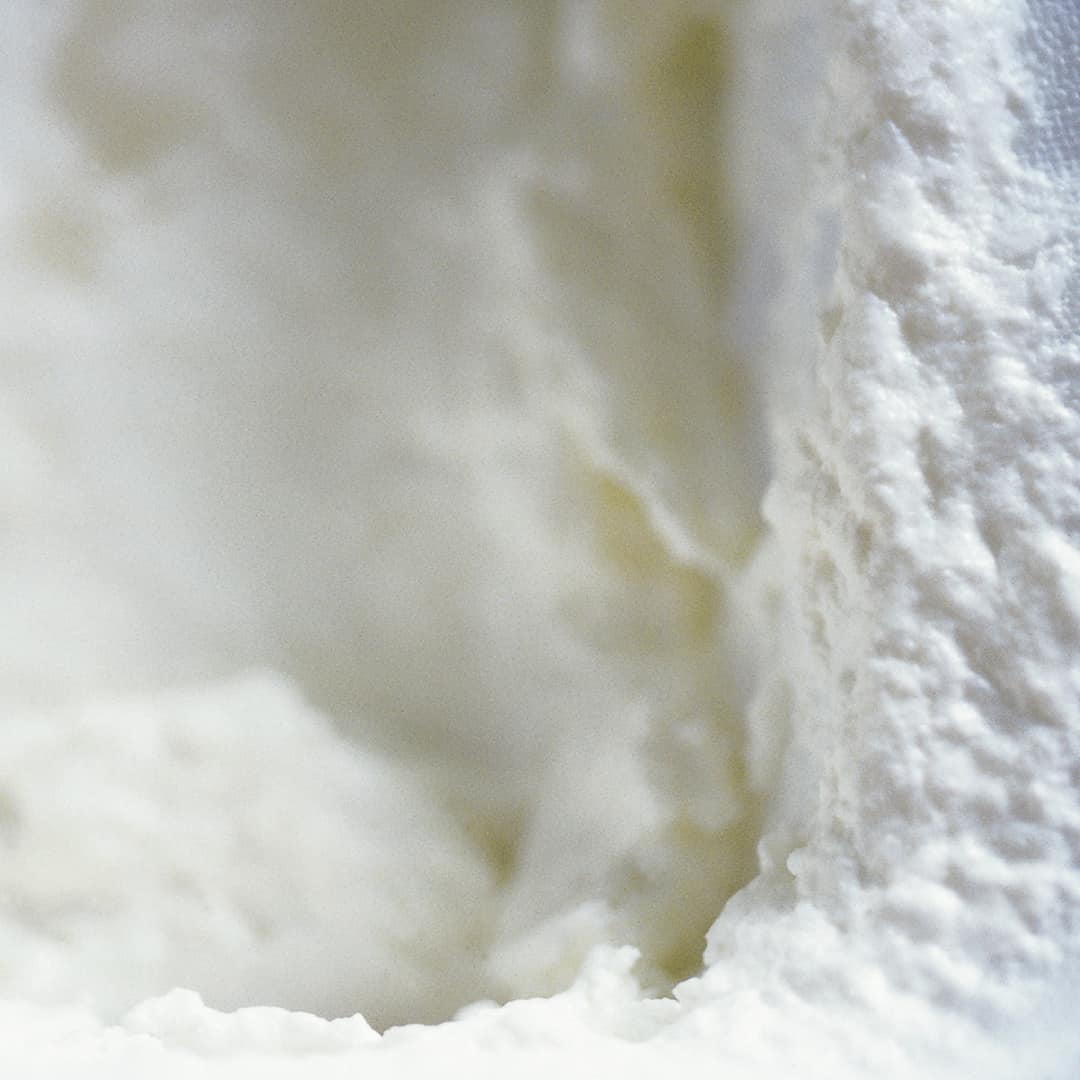 Yoghurt Will Studd