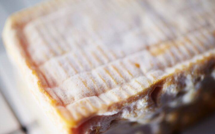 Le Conquerant Washed Rind Cheese From Normandy