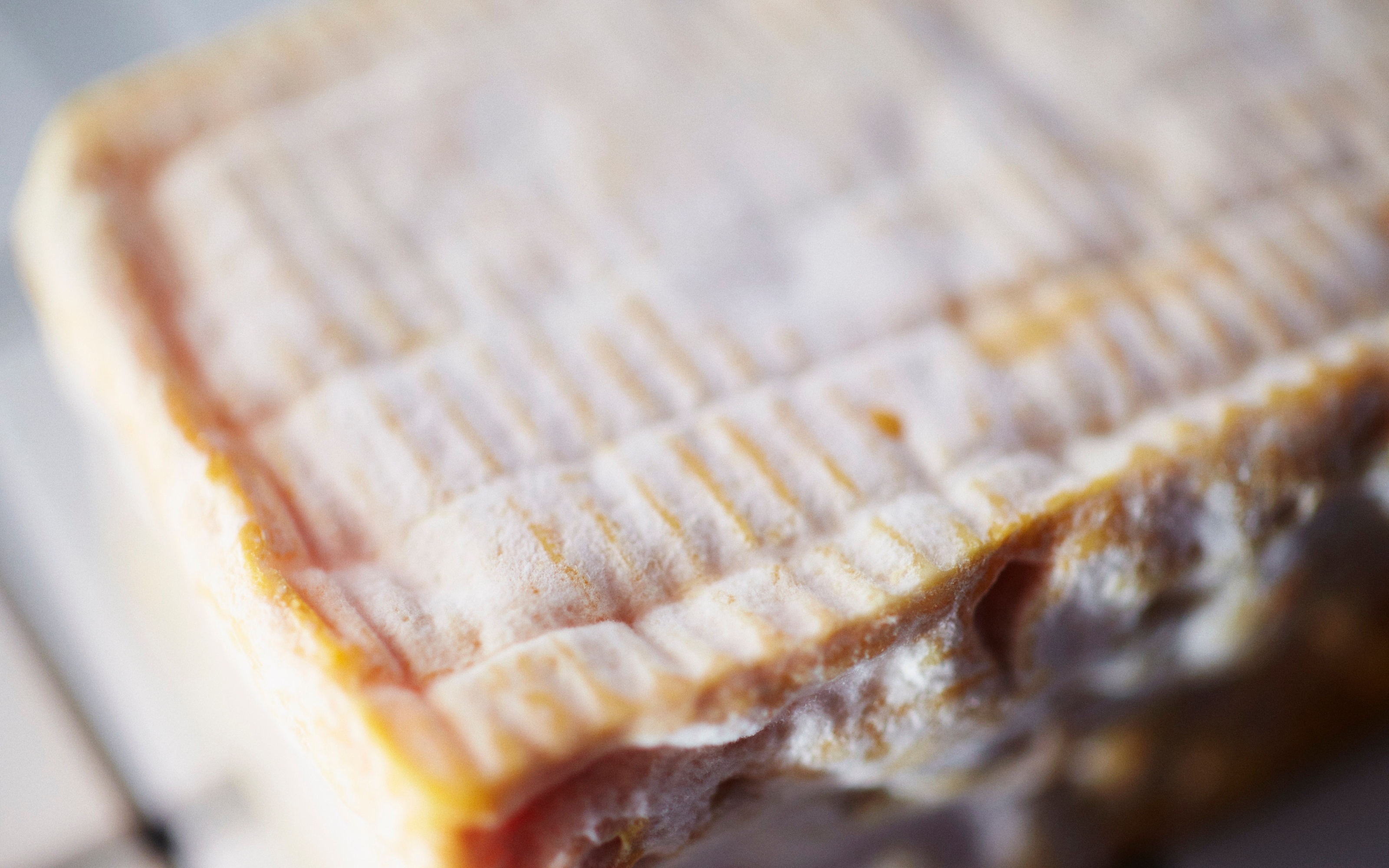 Le Conquerant Washed Rind Cheese From Normandy