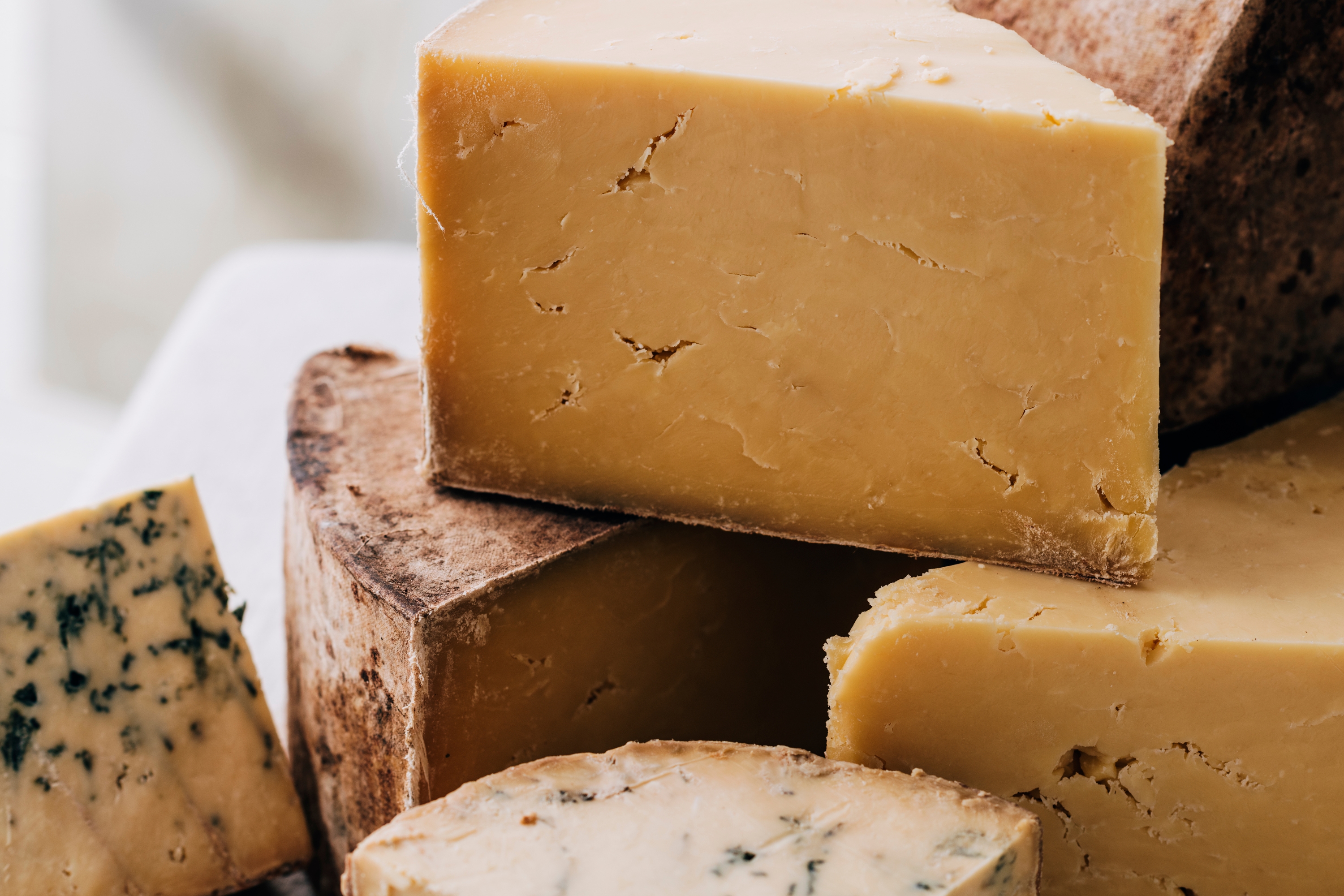 Cheddar Clothbound Will Studd