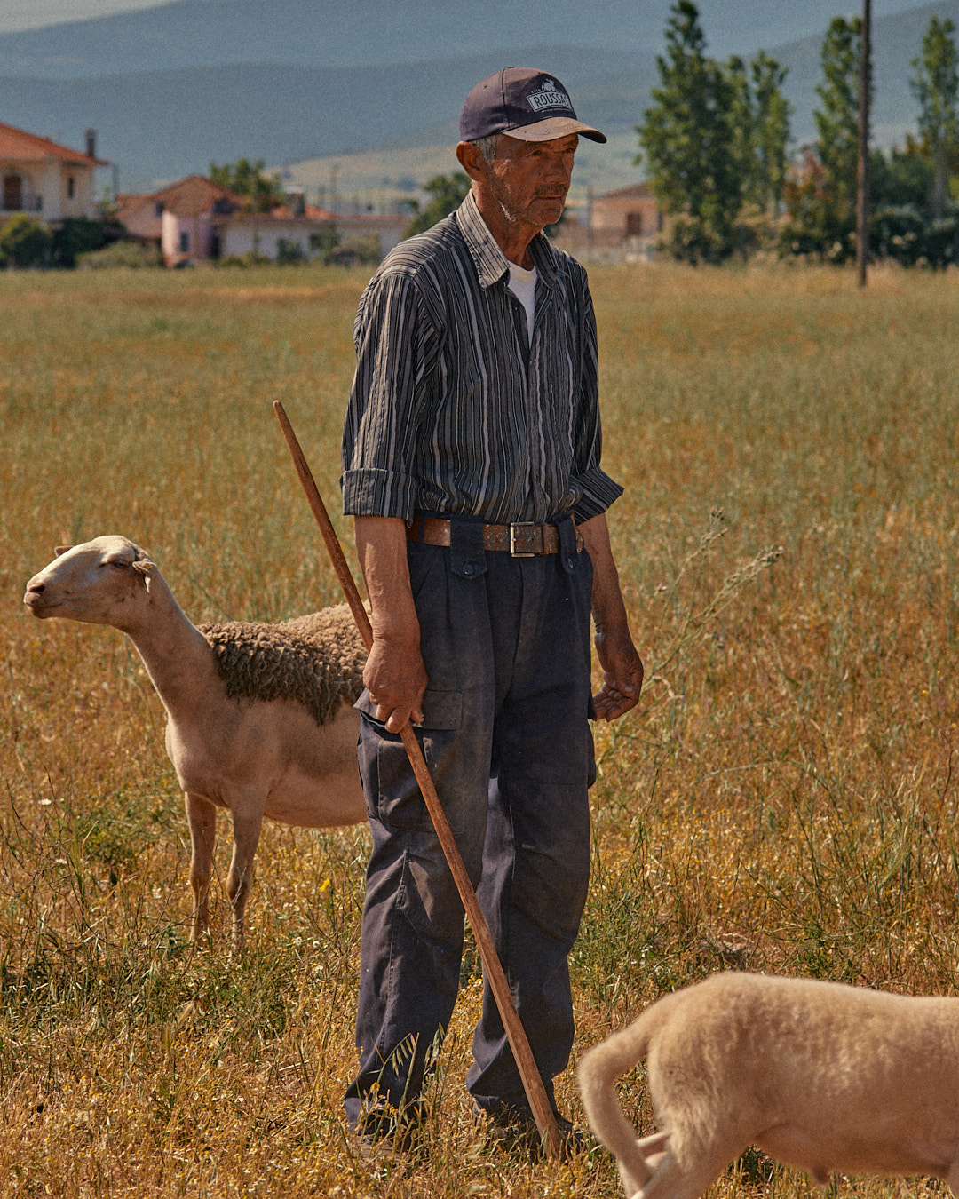 Will Studd Greece