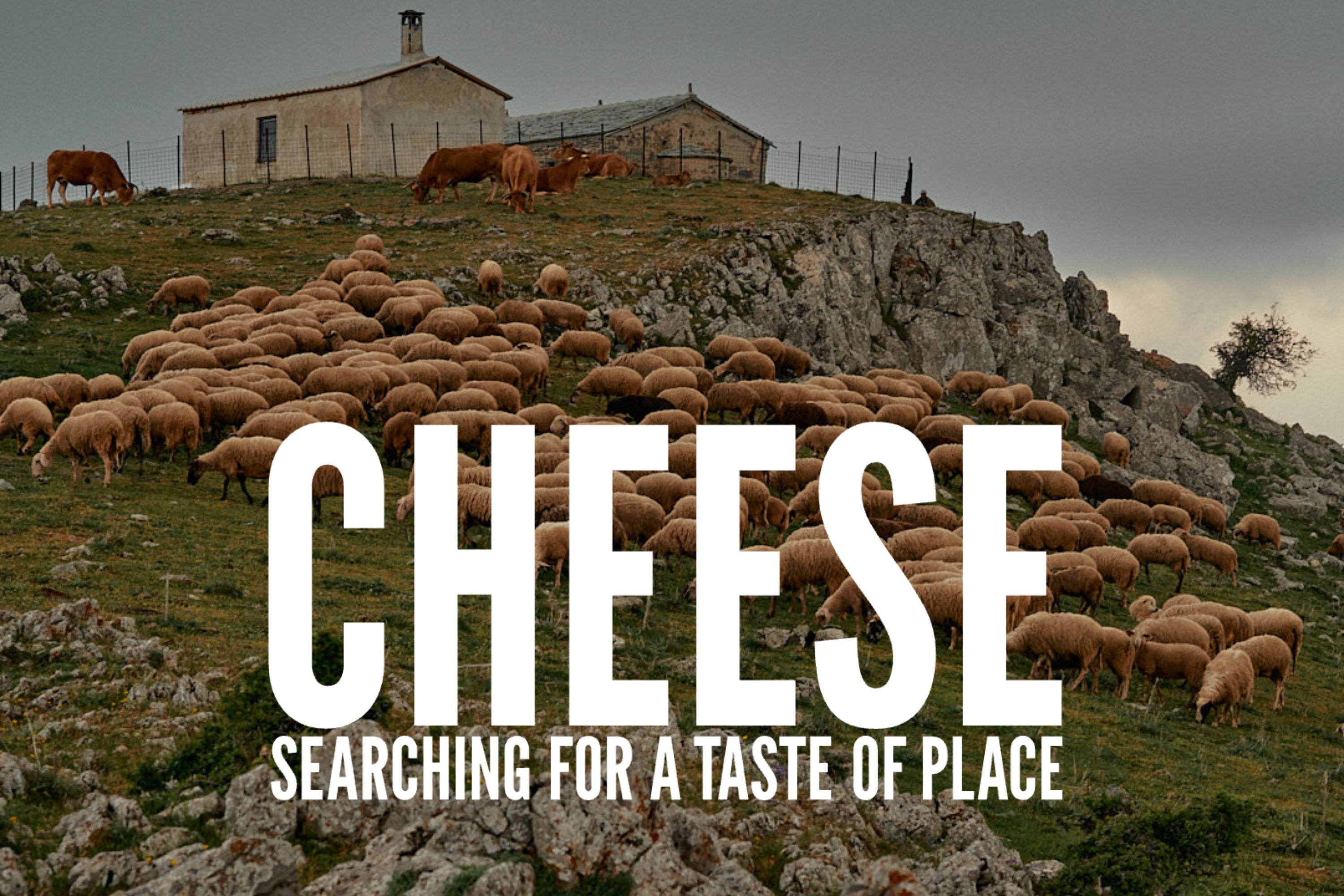 Taste Of Place Will Studd