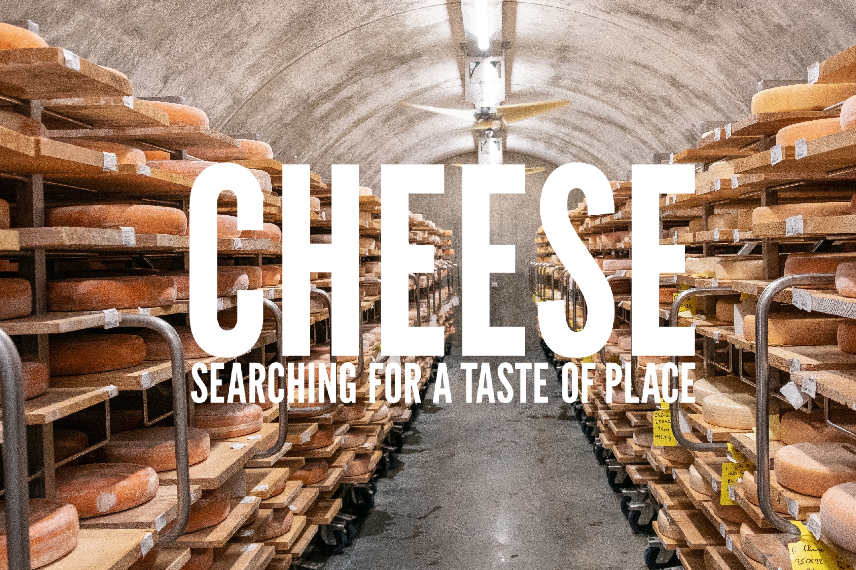 Taste Of Place Cheese